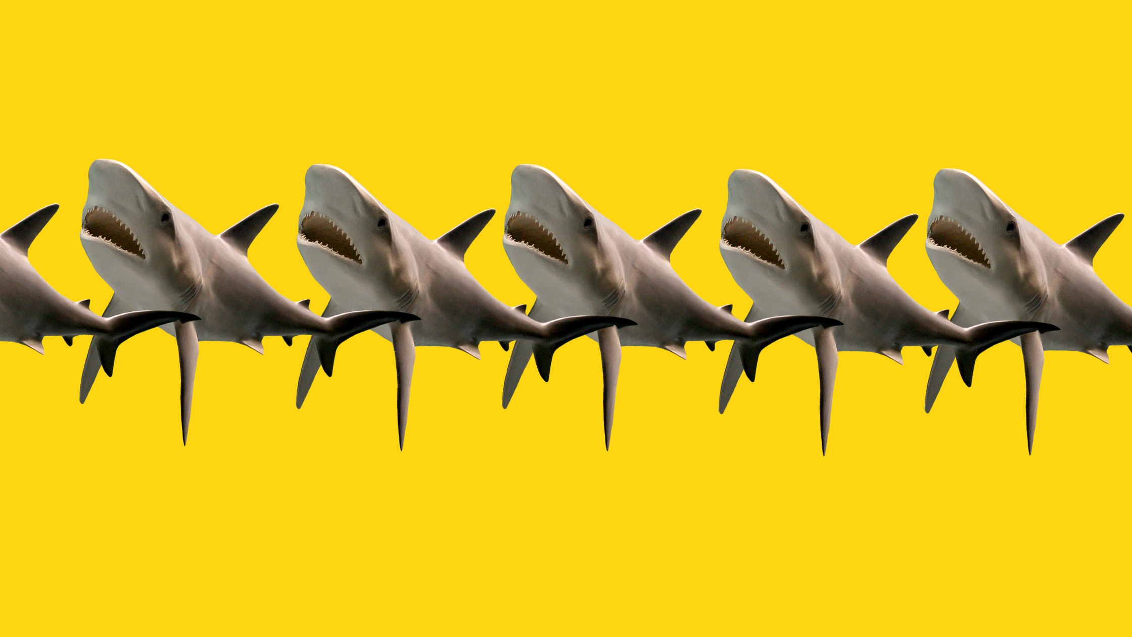 shark tank mobile app success stories